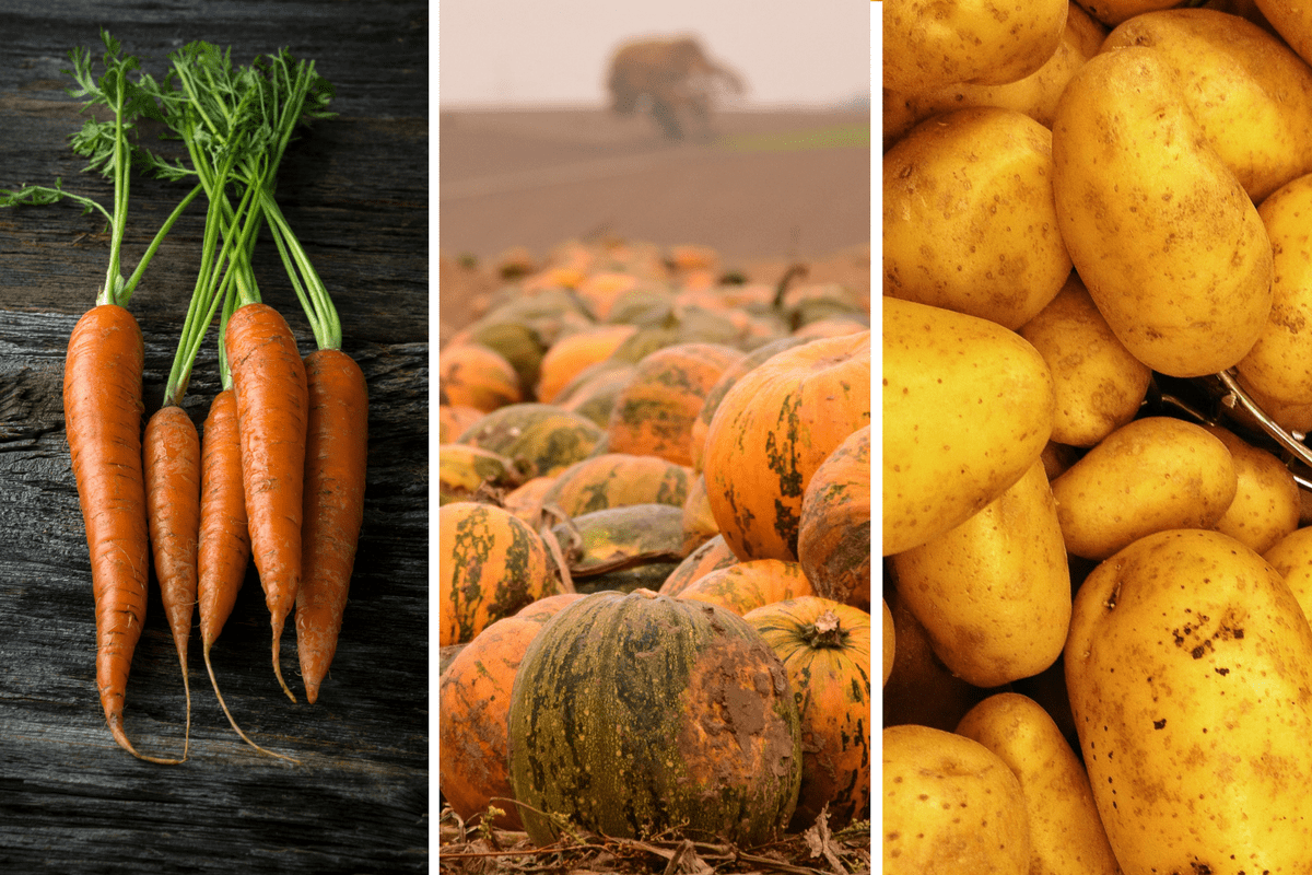 Potatoes, pumpkins and carrots are foods to eat to reduce DHT naturally