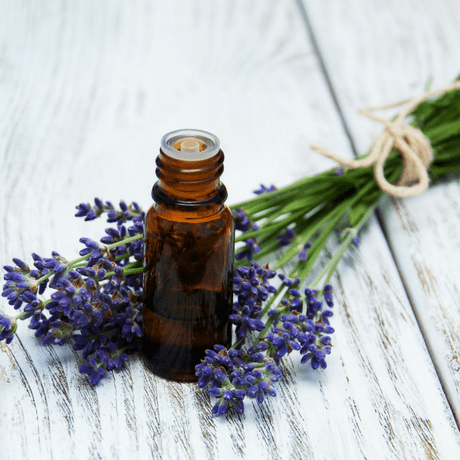lavender oil herbal remedies for mens hair growth 