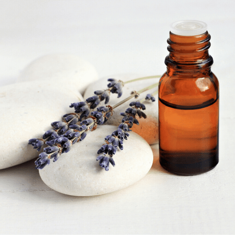 lavender oil promotes hair growth