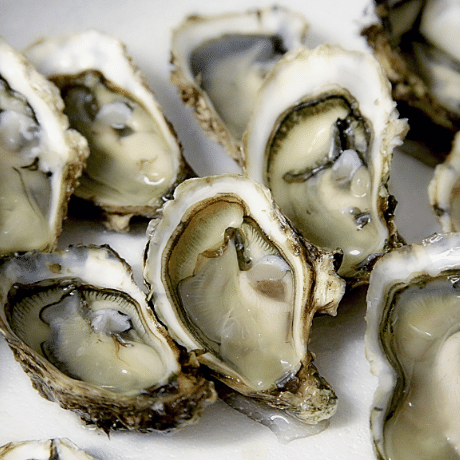 Oysters for hair loss