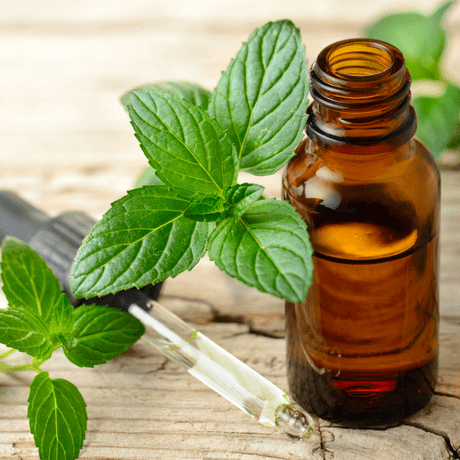 herbal remedies for mens hair growth peppermint oil